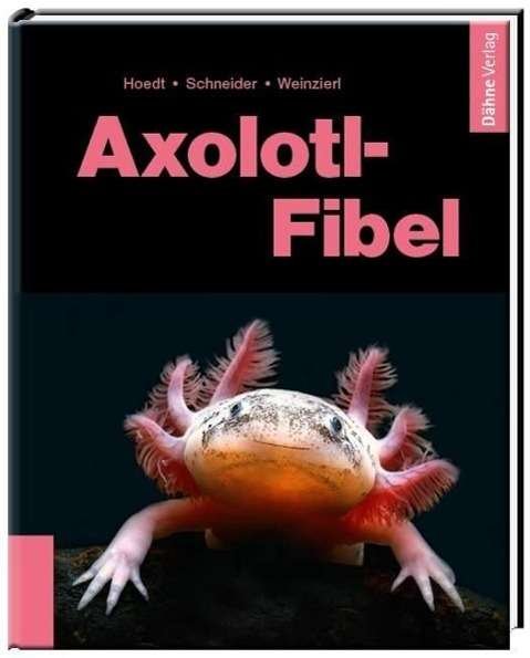 Cover for Hoedt · Hoedt:Axolotl-Fibel (Book) (2024)