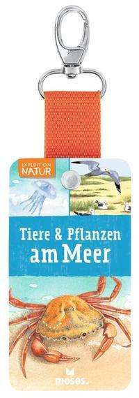 Expedition Natur - Fächer Tiere - Oftring - Books -  - 9783964551153 - 