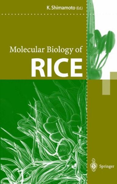 Cover for Ko Shimamoto · Molecular Biology of Rice (Innbunden bok) [1998 edition] (1999)