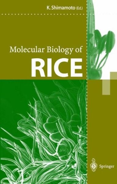 Ko Shimamoto · Molecular Biology of Rice (Hardcover bog) [1998 edition] (1999)
