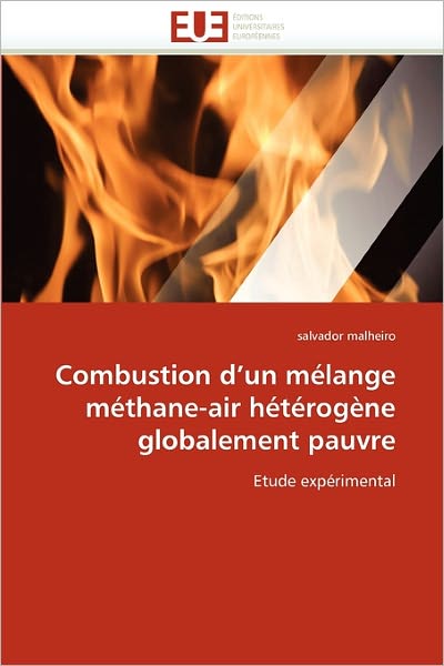 Cover for Salvador Malheiro · Combustion D'un Mélange Méthane-air Hétérogène Globalement Pauvre: Etude Expérimental (Paperback Book) [French edition] (2018)