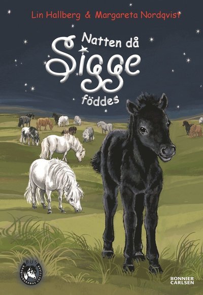 Cover for Lin Hallberg · BUS - Sam och Sigge: Natten då Sigge föddes (Indbundet Bog) (2011)
