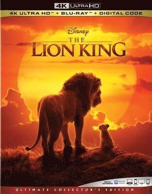 Cover for Lion King (4K UHD Blu-ray) (2019)