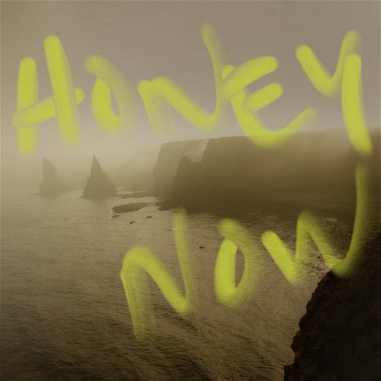 Cover for Neon Waltz · Honey Now (CD) (2023)