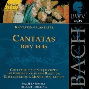 Cover for Rilling / Bach-collegium · BACH: Kantaten BWV 43-45 (CD) (1999)