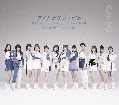 Cover for Camellia Factory · Adrenaline Dame / Yowasa Janaiyo.Koi Ha/Idol Tenshoku Ondo (CD) [Japan Import edition] (2022)