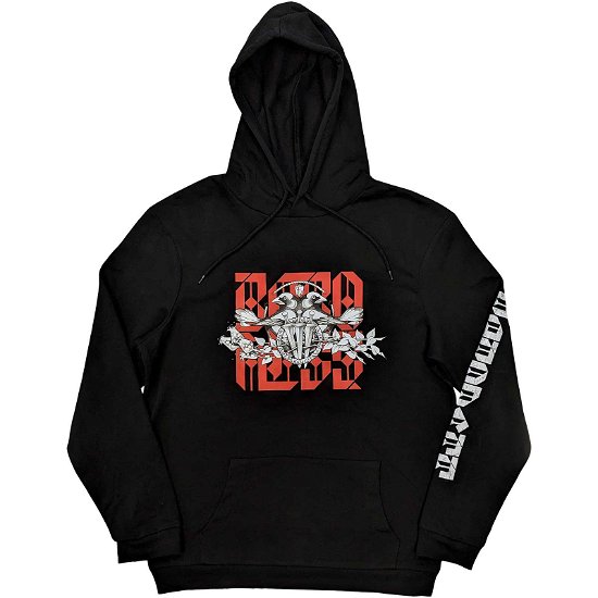 Cover for Baroness · Baroness Unisex Pullover Hoodie: Fall (Sleeve Print) (Hoodie) [size M]