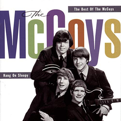 Cover for The Mccoys · Hang on Sloopy (CD) (1999)