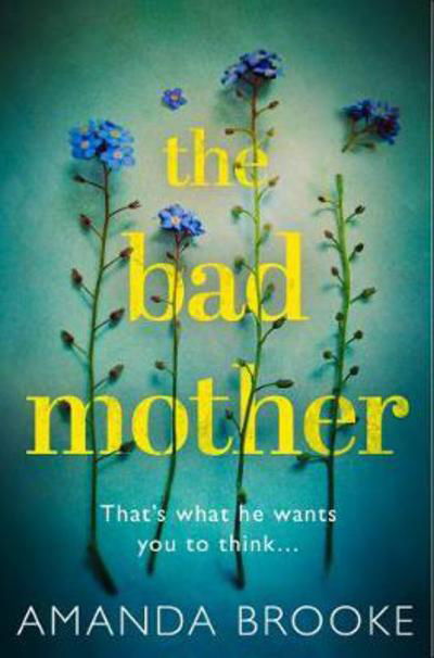 Cover for Amanda Brooke · The Bad Mother (Pocketbok) (2018)