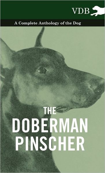 Cover for The Doberman Pinscher - a Complete Anthology of the Dog - (Innbunden bok) (2010)