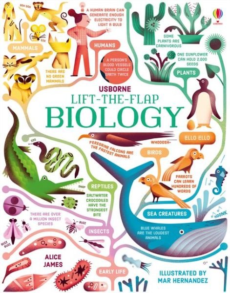 Lift-the-Flap Biology - Lift-the-flap - Alice James - Bøker - Usborne Publishing Ltd - 9781474969154 - 9. juli 2020