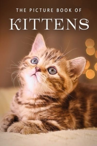 Cover for Sunny Street Books · The Picture Book of Kittens (Paperback Book) (2019)