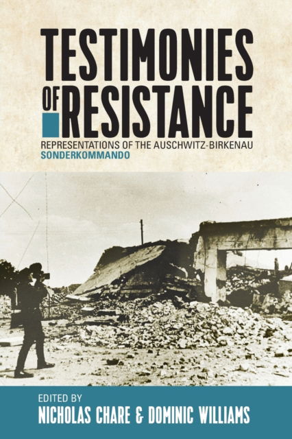 Cover for Testimonies of Resistance: Representations of the Auschwitz-Birkenau Sonderkommando (Paperback Book) (2023)