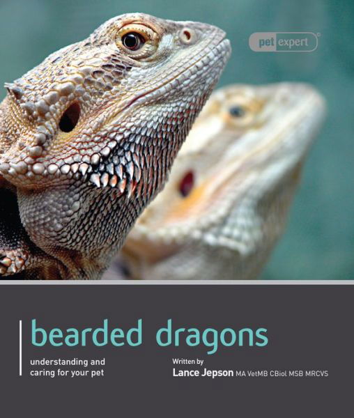 Cover for Lance Jepson · Bearded Dragon - Pet Expert (Paperback Book) (2011)