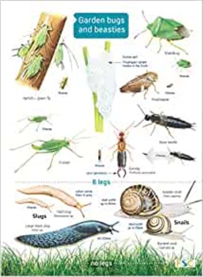 Cover for Rebecca Farley-Brown · Garden Bugs and Beasties (Map) (2014)