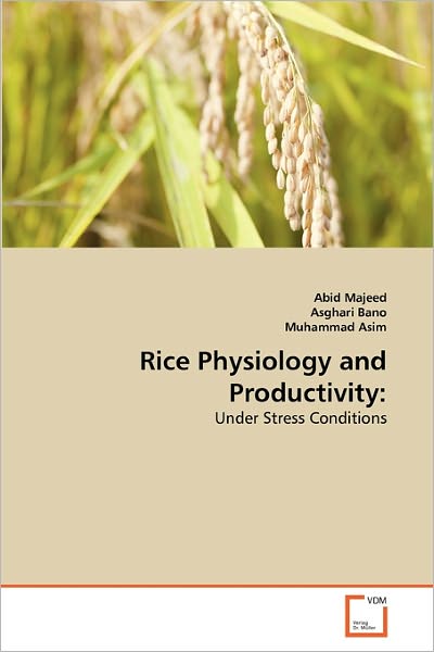 Cover for Muhammad Asim · Rice Physiology and Productivity:: Under Stress Conditions (Paperback Book) (2011)