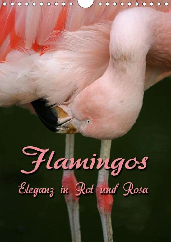 Cover for Berg · Flamingos - Eleganz in Rot und Ros (Buch)