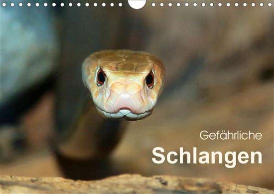 Cover for Herzog · Gefährliche Schlangen (Wandkalen (Bog)