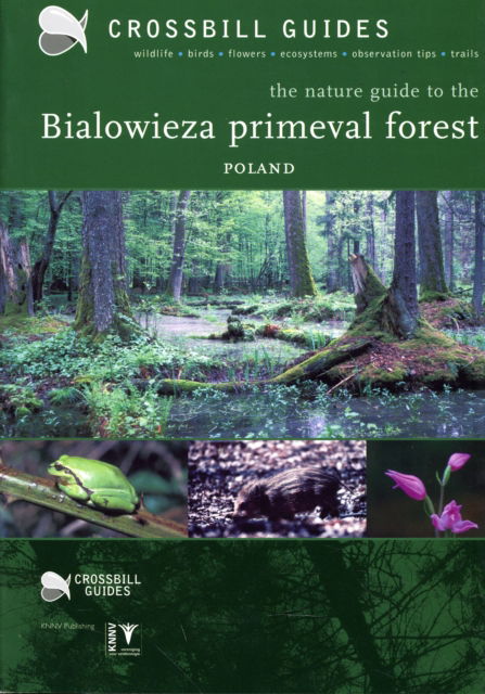 Cover for Dirk Hilbers · The Nature Guide to the Bialowieza Primeval Forest - Poland - Crossbill Guides (Paperback Book) (2005)