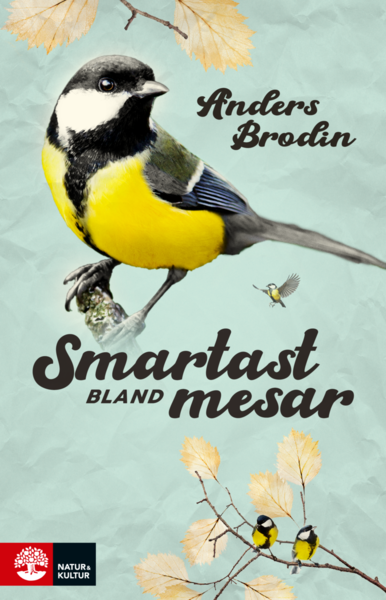 Cover for Anders Brodin · Smartast bland mesar (Gebundesens Buch) (2020)