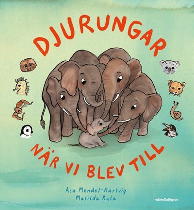 Cover for Åsa Mendel-Hartvig · Djurungar - När vi blev till (Bound Book) (2023)