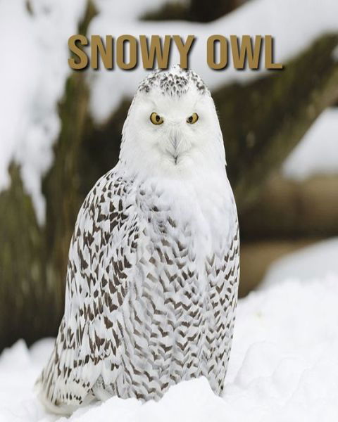 Snowy owl - Dan Anthony - Books - Independently Published - 9798665572154 - July 11, 2020