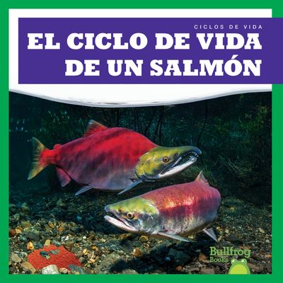 Cover for Rice · Ciclo de Vida de un Salmn (N/A) (2022)