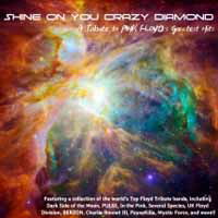 Shine On Your Crazy Diamond: A Tribute To Pink Floyd's Greatest Hits - V/A - Musiikki - MVD - 0689240202155 - torstai 6. joulukuuta 2018