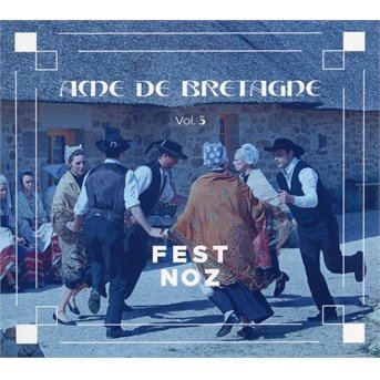 Cover for Compilation · Lame De Bretagne Vol. 3 (CD) (2019)