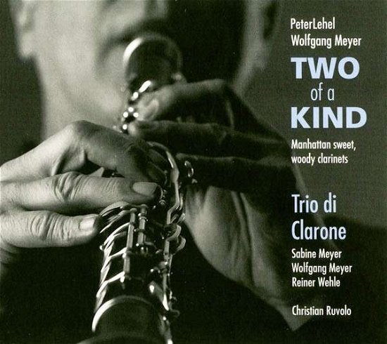 Cover for Lehel / Meyer,s. / Meyer,w. / Wehle / Ruvolo · Two of a Kind (CD) (2013)