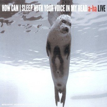 Cover for A-ha · How Can I Sleep With Your Voice In My Head (CD) [Digipak, Ltd edition] (2003)