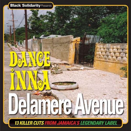Cover for Black Solidarity Presents: Dance Inna / Various · Black Solidarity Presents: Dance Inna Delamare Avenue (LP) (2022)