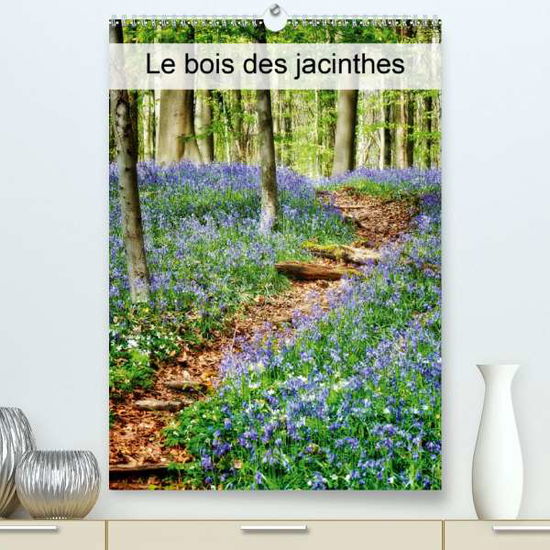 Cover for Patrick · Le bois des Jacinthes (Premium, (Buch)