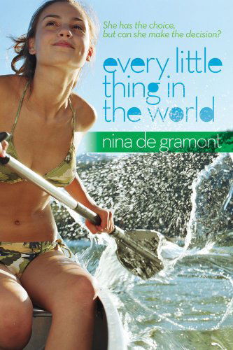 Cover for Nina De Gramont · Every Little Thing in the World (Taschenbuch) [Reprint edition] (2011)