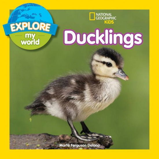 Cover for Marfe Ferguson Delano · Explore My World: Ducklings - Explore My World (Paperback Book) (2017)