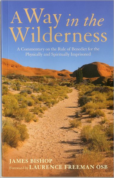 Cover for James Bishop · A Way in the Wilderness: A Commentary on the Rule of Benedict for the Physically and Spiritually Imprisoned (Paperback Book) (2012)