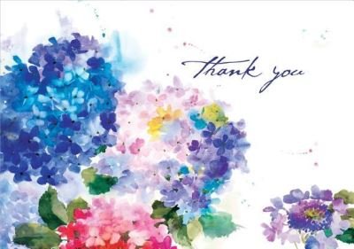 Cover for Peter Pauper Press · Hydrangeas Thank You Notes (Cards) (2015)