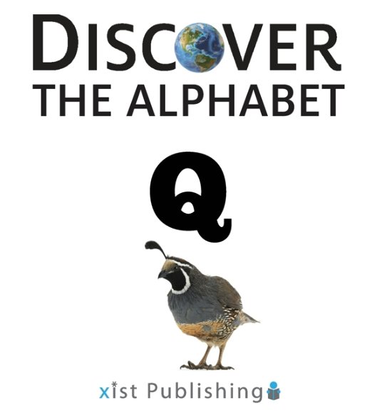 Q - Xist Publishing - Bøger - Xist Publishing - 9781532413155 - 15. juli 2019