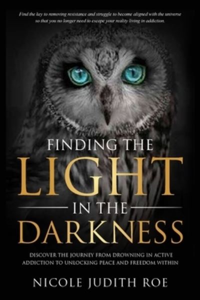 Cover for Nicole Roe · Finding the Light in the Darkness (Paperback Book) (2021)