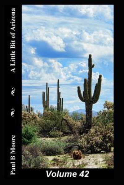 Cover for Paul Moore · A Little Bit of Arizona (Paperback Book) (2018)