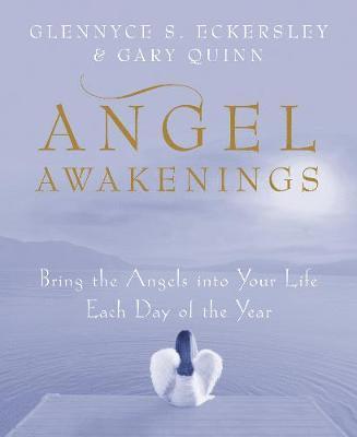 Cover for Gary Quinn · Angel Awakenings (Paperback Book) (2018)