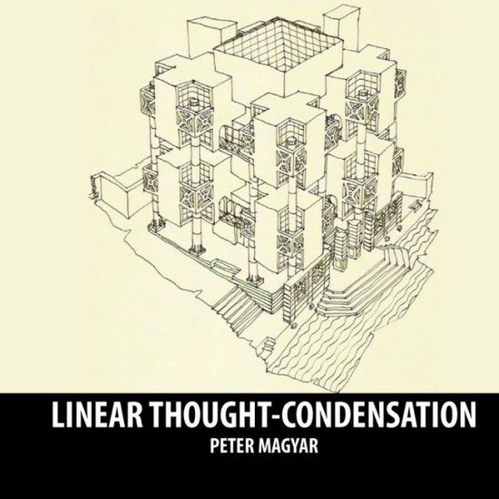 Cover for Peter Maygar · Linear Thought Condensation (Paperback Book) (2019)