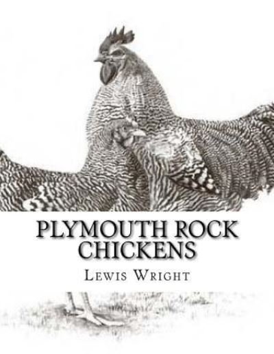 Cover for Lewis Wright · Plymouth Rock Chickens (Pocketbok) (2017)