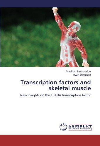 Cover for Irwin Davidson · Transcription Factors and Skeletal Muscle: New Insights on the Tead4 Transcription Factor (Taschenbuch) (2012)