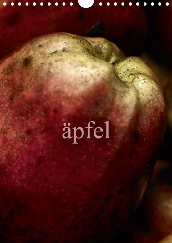 Cover for Morgenstern · Äpfel (Wandkalender 2020 Di (Bog)