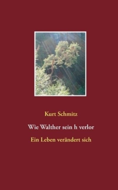 Cover for Schmitz · Wie Walther sein h verlor (Bok) (2020)