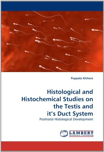 Cover for Puppala Kishore · Histological and Histochemical Studies on the Testis and It's Duct System: Postnatal Histological Development (Paperback Book) (2010)