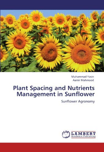 Plant Spacing and Nutrients Management in Sunflower: Sunflower Agronomy - Aamir Mahmood - Bøger - LAP LAMBERT Academic Publishing - 9783847331155 - 3. januar 2012