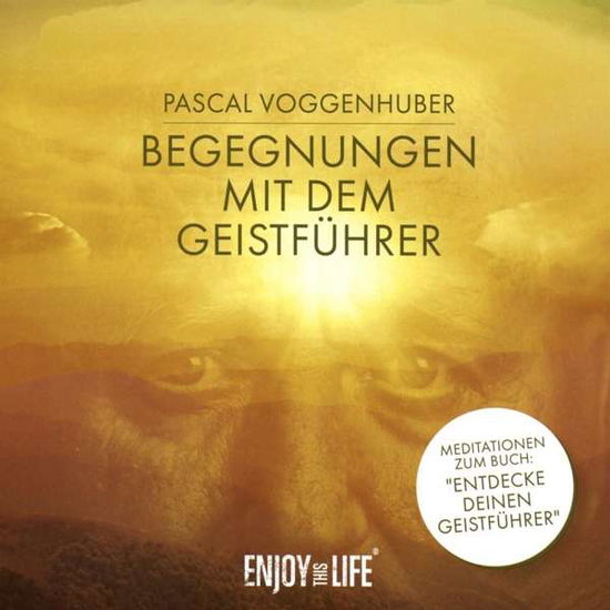 Cover for Pascal Voggenhuber · Begegnungen mit dem Geistführer,CD (Book) (2016)