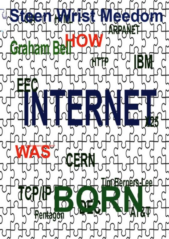 Cover for Steen Wrist Meedom · How Internet Was Born (Paperback Book) (2022)